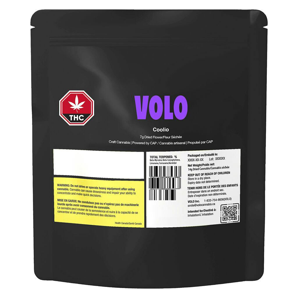 Volo - orange turp