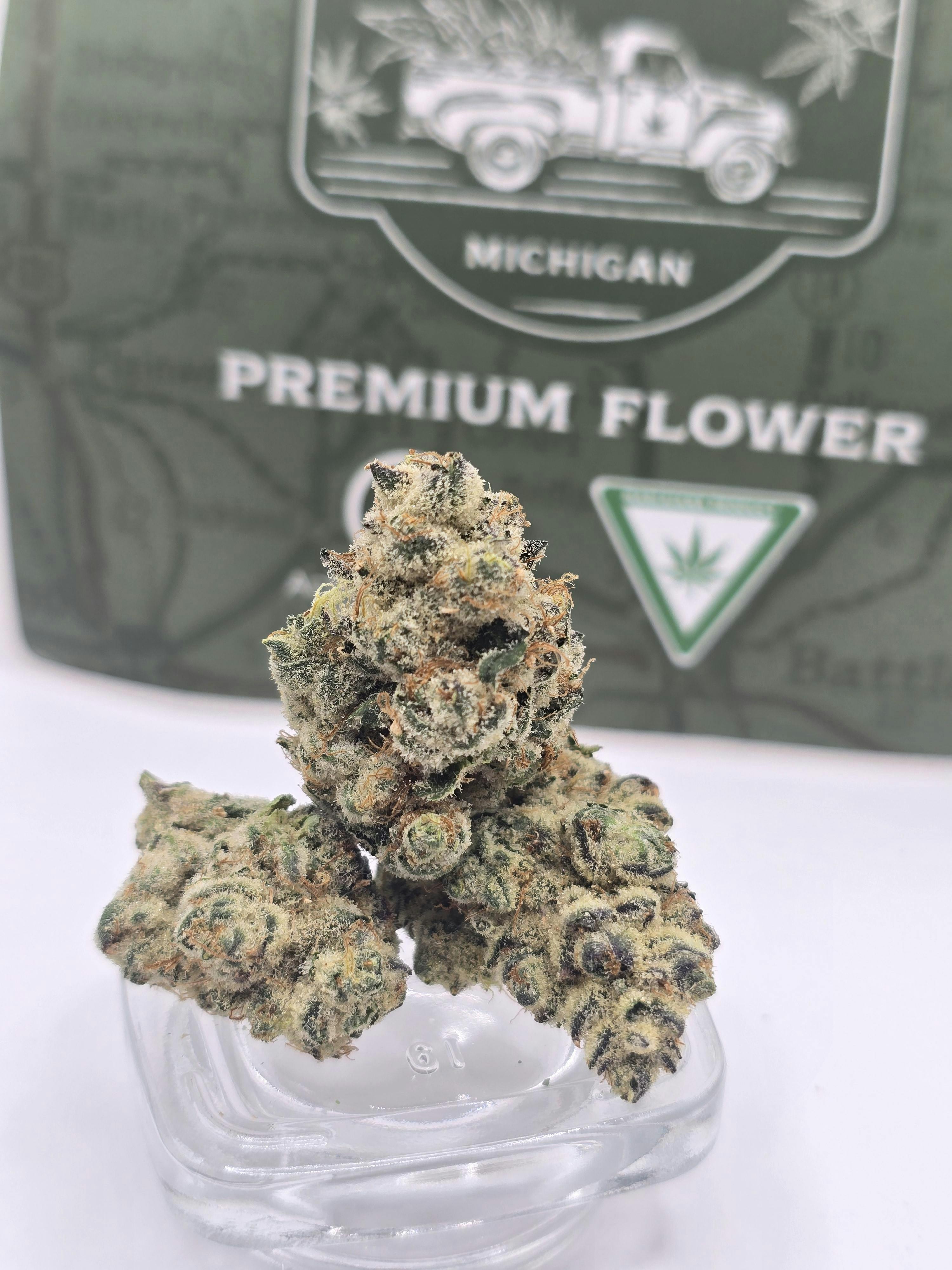 Product: Highway Horticulture | Garlic Cocktail 14g Pack