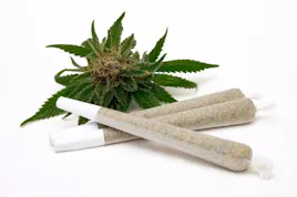 Pre-Rolls category image