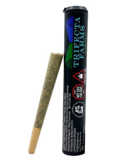 Ethanol [1g]