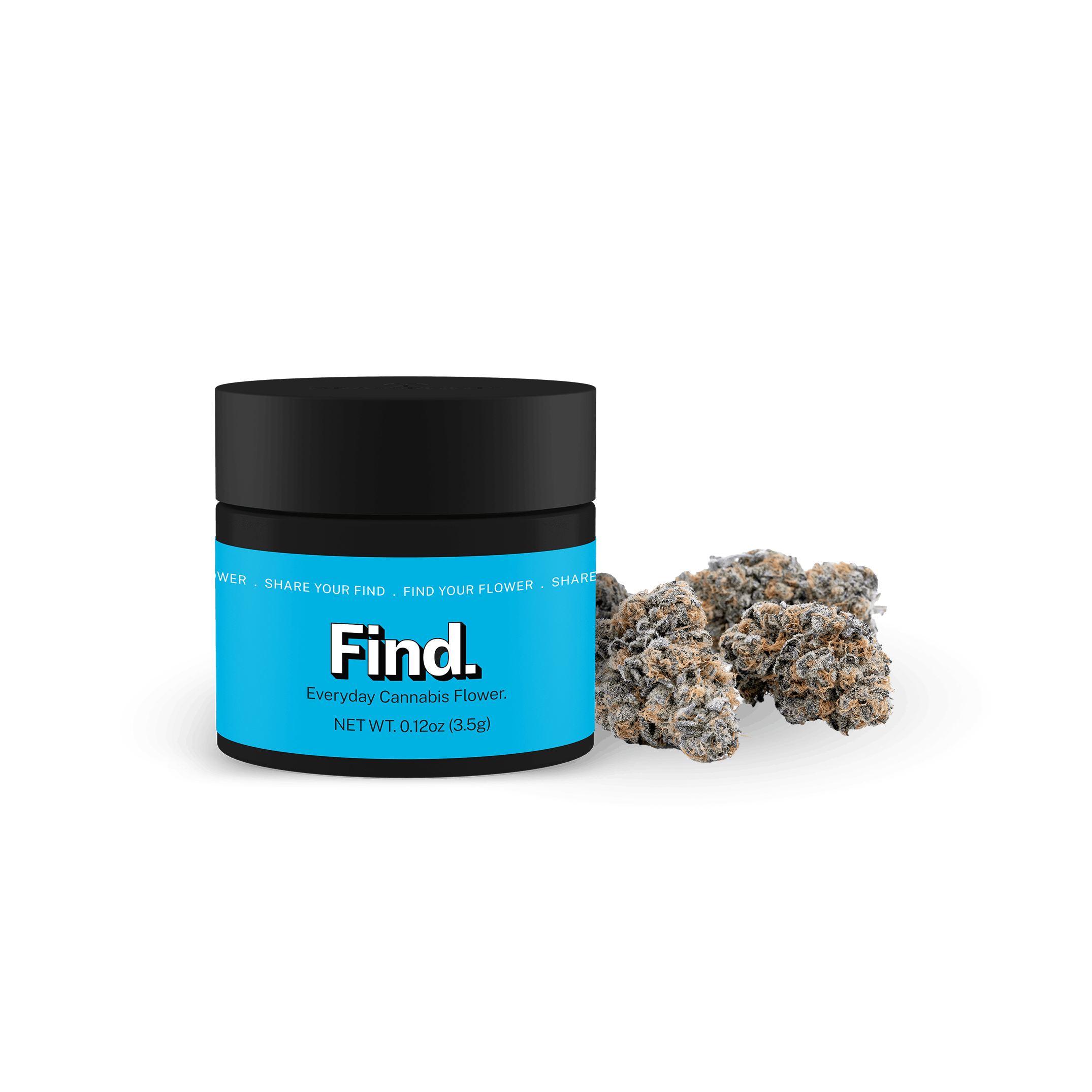 Mimosa⭐︎ Mimosa Purple Kush Autoflowering - buy Dutchfem cannabis seeds