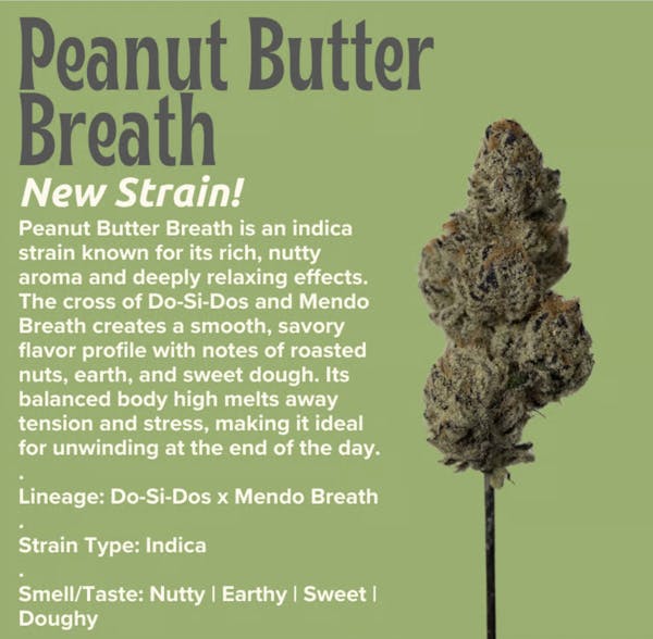 Peanut Butter Breath (IH) | 28g | Flower | Sanctuary | 33.76%