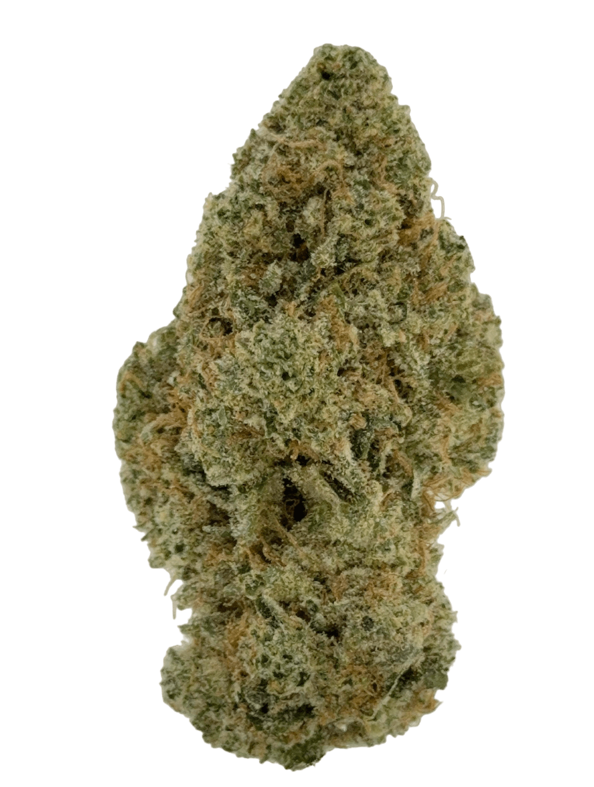 Image of Donny Burger