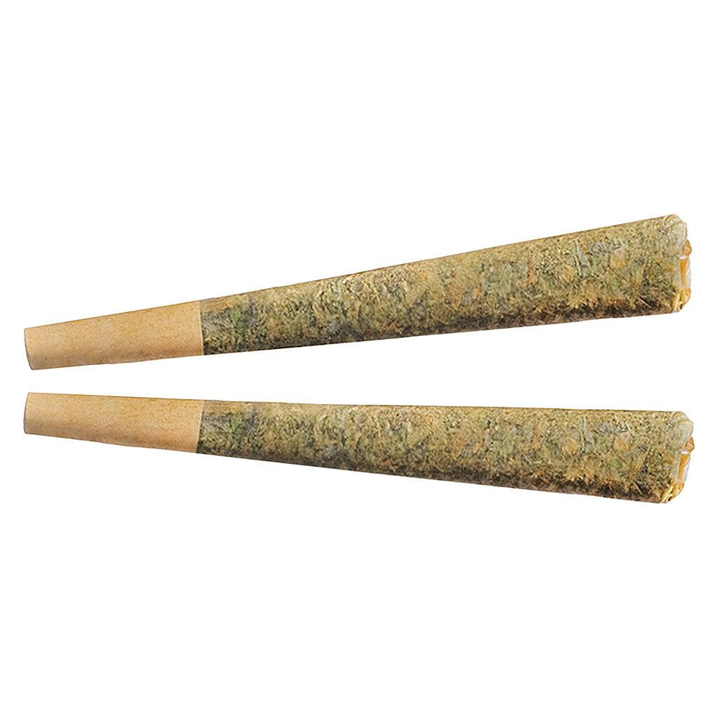 Fuego - Night Rider Pre-Roll - Indica - 2x1g