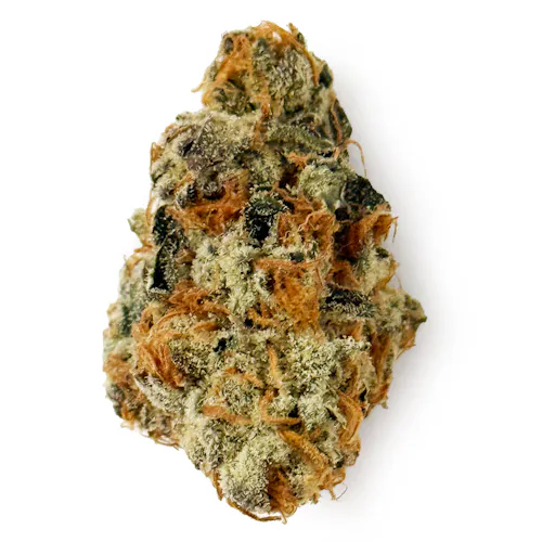 Voyage Bloom Slurmz Prepack Rec-active