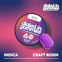 100mg - Grape Punch - Rosin Gummies (10pk) - Thumbnail 1