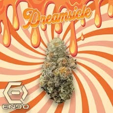 DELI - Endo - Dreamsicle
