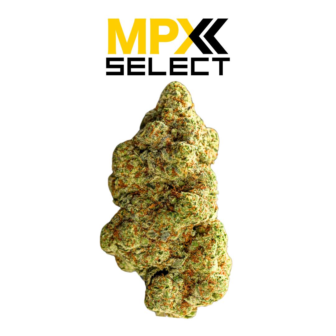 MPX Select Jack Herer Flower | GrowHealthy