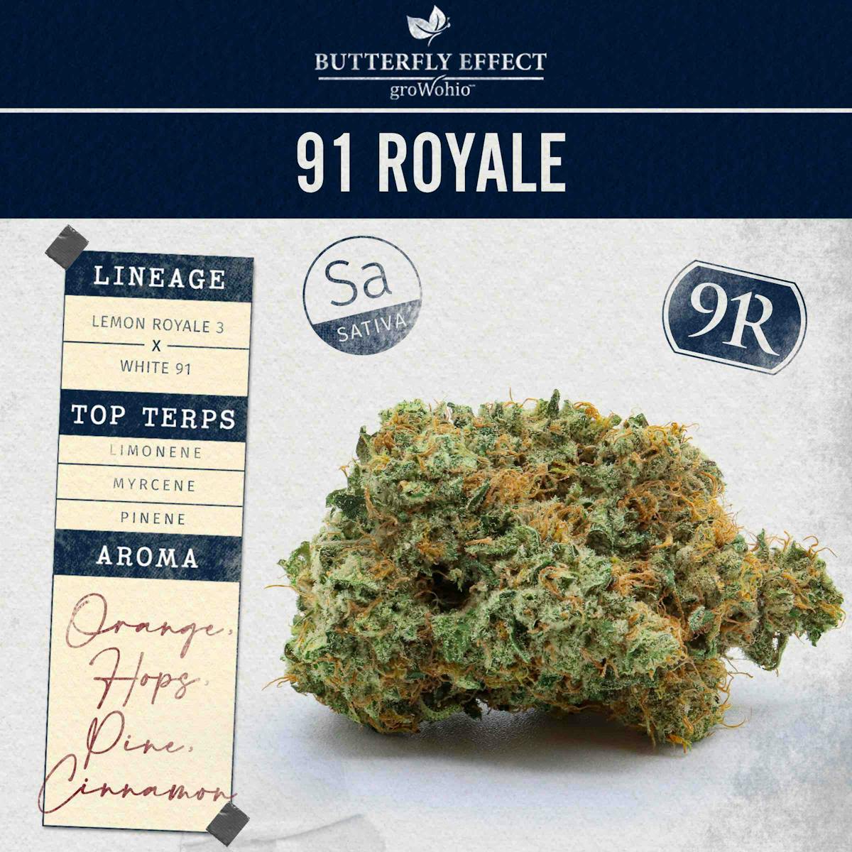 Photo of 91 Royale