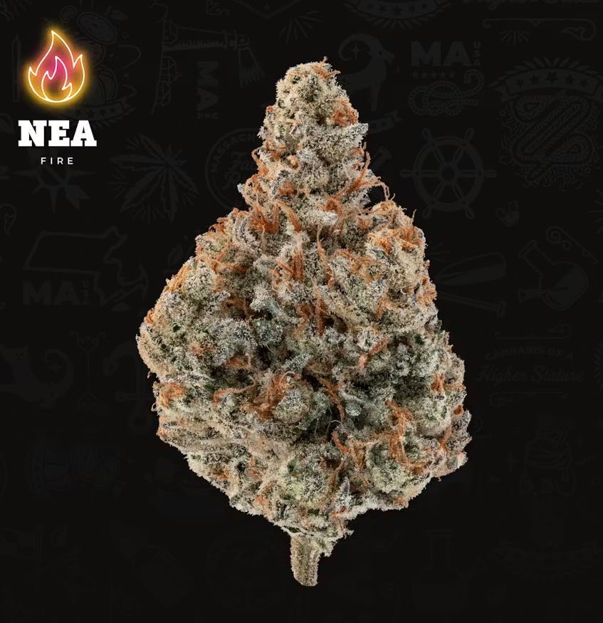 Product NEA Fire | Animal Mints | Flower