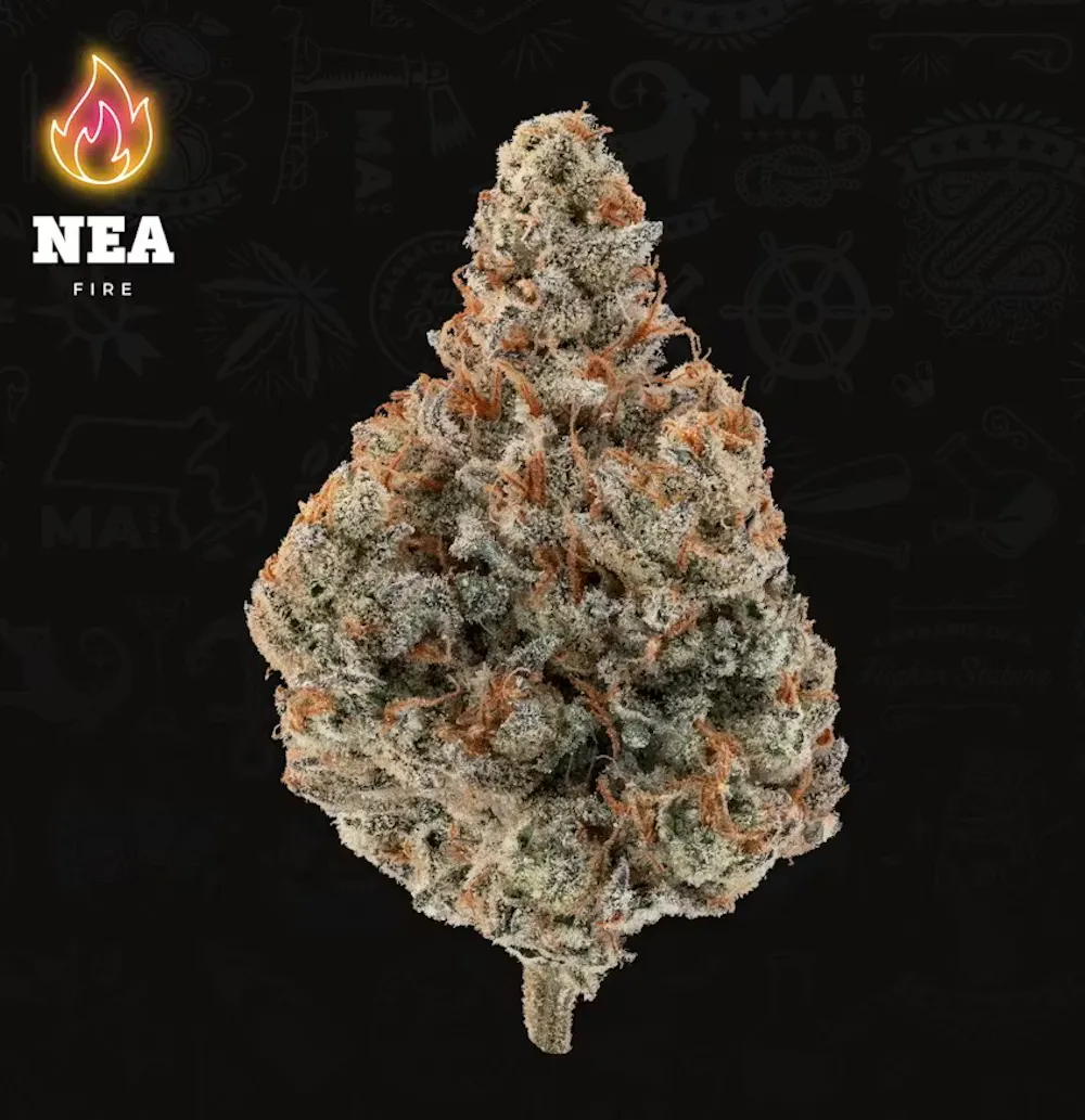 Product NEA Fire | Animal Mints | Flower