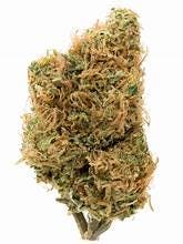 Photo of Platinum Shelf Golden Goat (S)