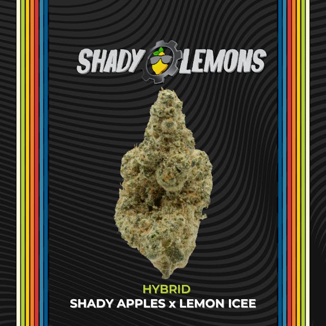 31.6% THC, 4.08% TOTAL TERPENES
PRIMARY TERPENES: 1.93% Limonene
SECONDARY TERPENES: 0.46% Linalool | 0.3% Caryophyllene | 0.25% b-Pinene | 0.19% a-Pinene | 0.14% Fenchol | 0.13% Ocimene | 0.11% Myrcene | 0.1% Guaiol | 0.1% Humulene
—
30.9% THC, 4.41% TOTAL TERPENES
PRIMARY TERPENES: 2.14% Limonene
SECONDARY TERPENES: 0.48% Linalool | 0.29% Caryophyllene | 0.27% b-Pinene | 0.21% a-Pinene | 0.16% Fenchol | 0.15% Ocimene | 0.15% Terpineol | 0.12% Myrcene | 0.1% Humulene | 0.1% Guaiol
—
32.5% THC, 4.48% TOTAL TERPENES
PRIMARY TERPENES: 2.35% Limonene
SECONDARY TERPENES: 0.47% Linalool | 0.28% b-Pinene | 0.24% a-Pinene | 0.22% Caryophyllene | 0.16% Fenchol | 0.14% Myrcene | 0.13% Ocimene
—
33.1% THC, 4.64% TOTAL TERPENES
PRIMARY TERPENES: 2.38% Limonene
SECONDARY TERPENES: 0.47% Linalool | 0.31% b-Pinene | 0.26% a-Pinene | 0.23% Caryophyllene | 0.17% Fenchol | 0.16% Terpineol | 0.14% Ocimene | 0.14% Myrcene
—
LINEAGE: Shady Apples x Lemon Icee
CATEGORY: Indica-Leaning Hybrid
BREEDER: Tiki Madman
AROMA: heavy citrus sting with lavender/dryer sheet tones
—
ABOUT: Top, premium colas are hand-selected and meticulously handled to provide patients with the best quality expression of each cultivar.
—
OUR GENETICS: Choice genetics are hand-selected for unique cannabinoid/terpene profiles - as well as benefited conditions – to provide Ohio patients with a curated selection of quality medical cultivars. 
—
WHO WE ARE: We are family-owned, operated, and based out of Dayton, Ohio. Our facility has hosted family businesses for three generations. From auto parts to sushi and now medical cannabis.  We pride ourselves on our passion for high quality, science, and design to create an exceptional medical cannabis experience.