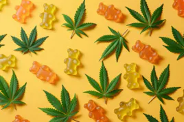 Edibles category image