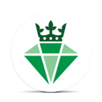 Bling Factory Logo