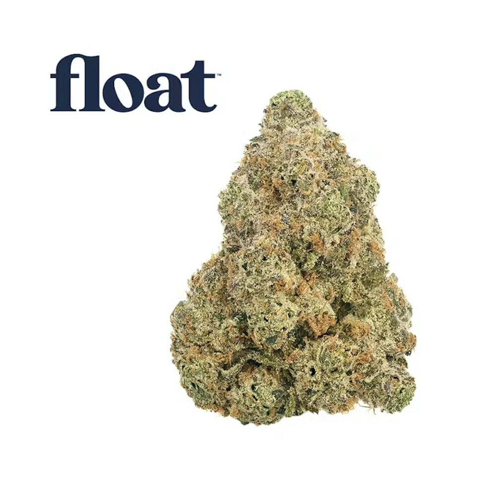 Product Float - White Hot Guava 14 x Black Velvet - Flower