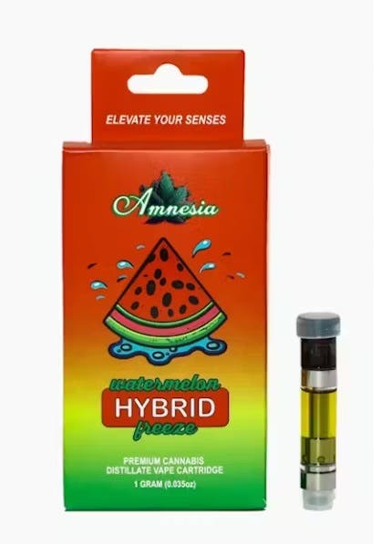 amnesia terminator vape Cannabis Store Amsterdam-Split main image 1