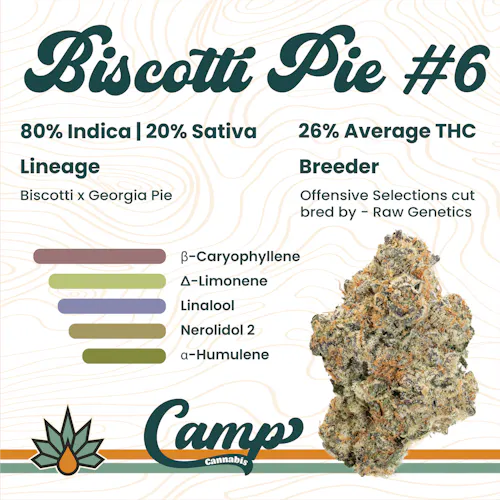 CAMP | Biscotti Pie 6-1