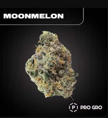 Product: Moonmelon | ProGro