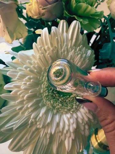 Alta | One Hitter | Clear Glass-1