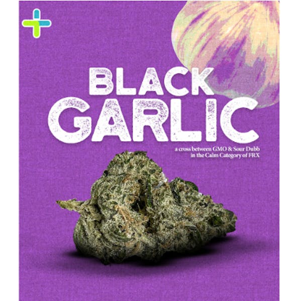 botanical☆ LEGO Botanicals Hibiscus Set | BJ's Wholesale Club