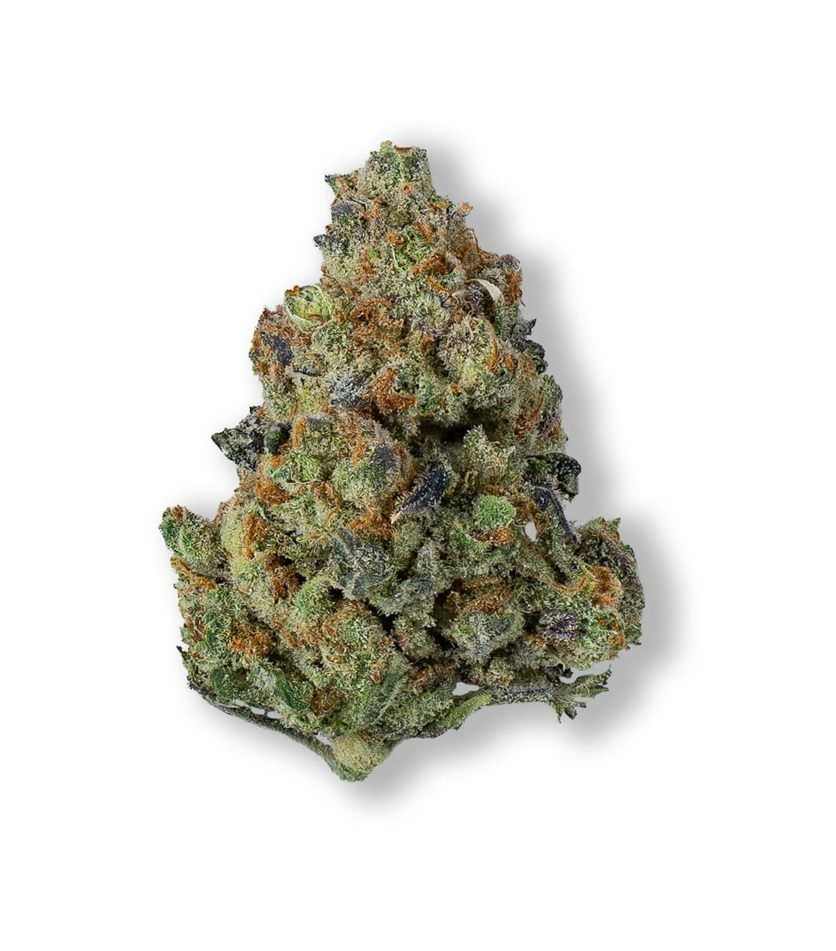 Image of Jelly Haze | 28g Flower