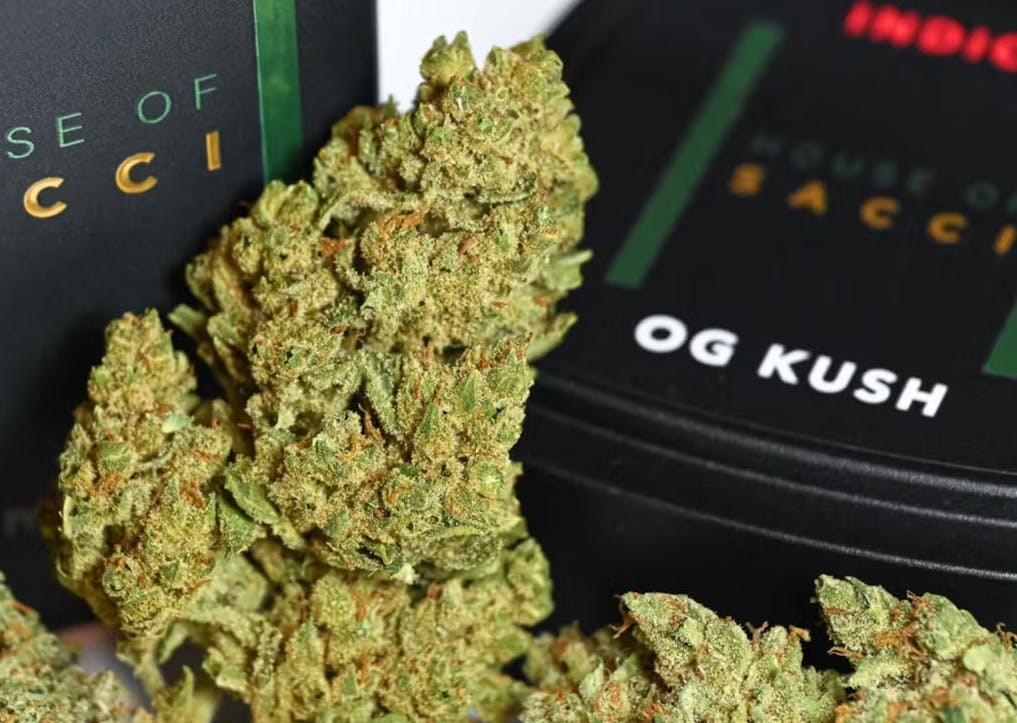 Photo of House of Sacci – OG Kush 3.5