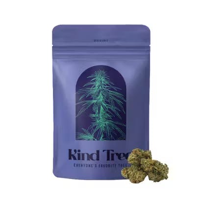 Fernway Pineapple Express | Fernway | Traveler - Cuzzie's Cannabis