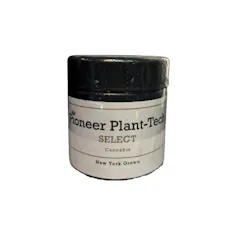 PIONEER PLANT TECH | SWIZZLE | FRESH CURED 2 GRAMS FLOWER