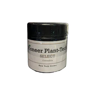 PIONEER PLANT TECH | SOUR PAPAYA | 2 GRAMS FRESH CURED FLOWER