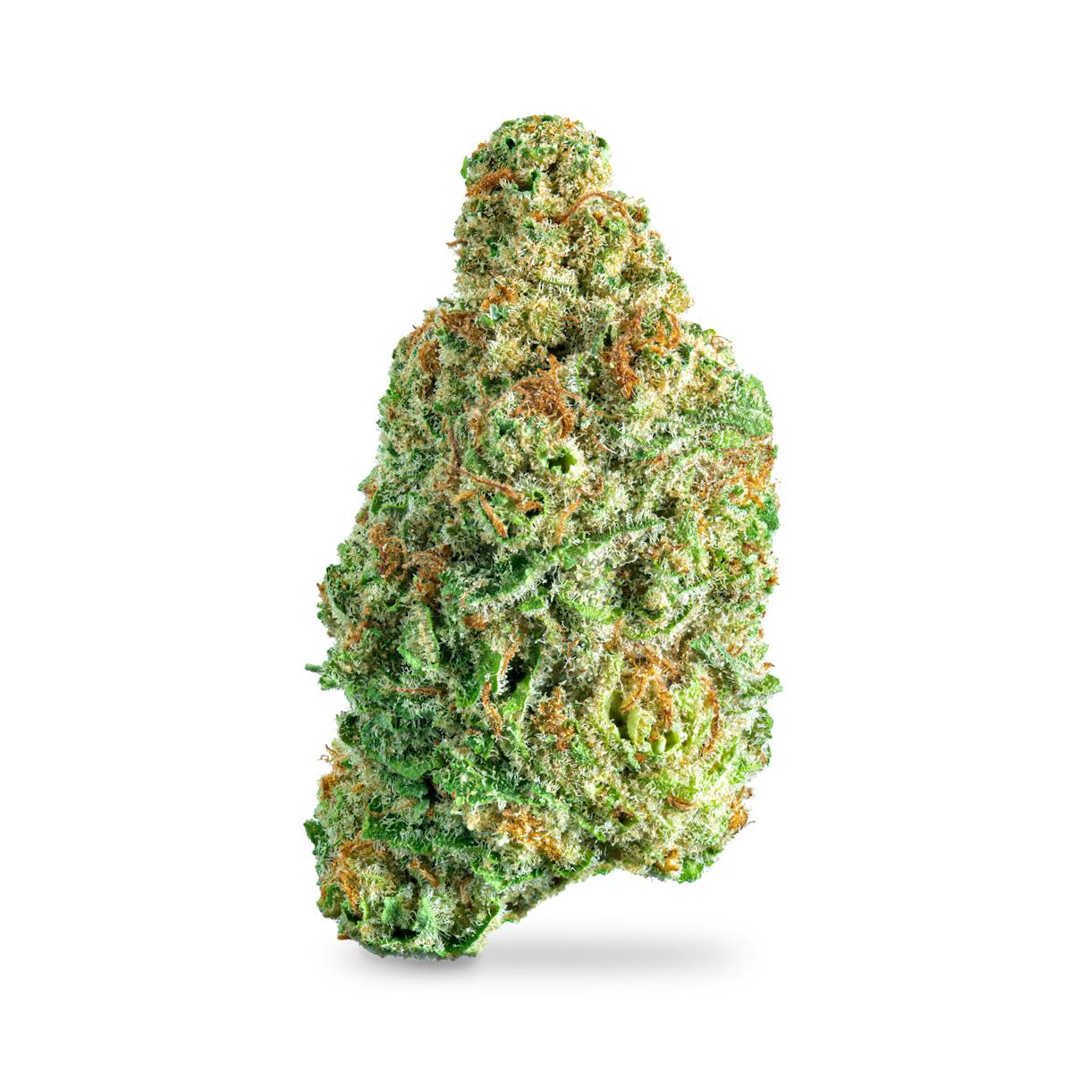 Photo of Punch Mints PP
