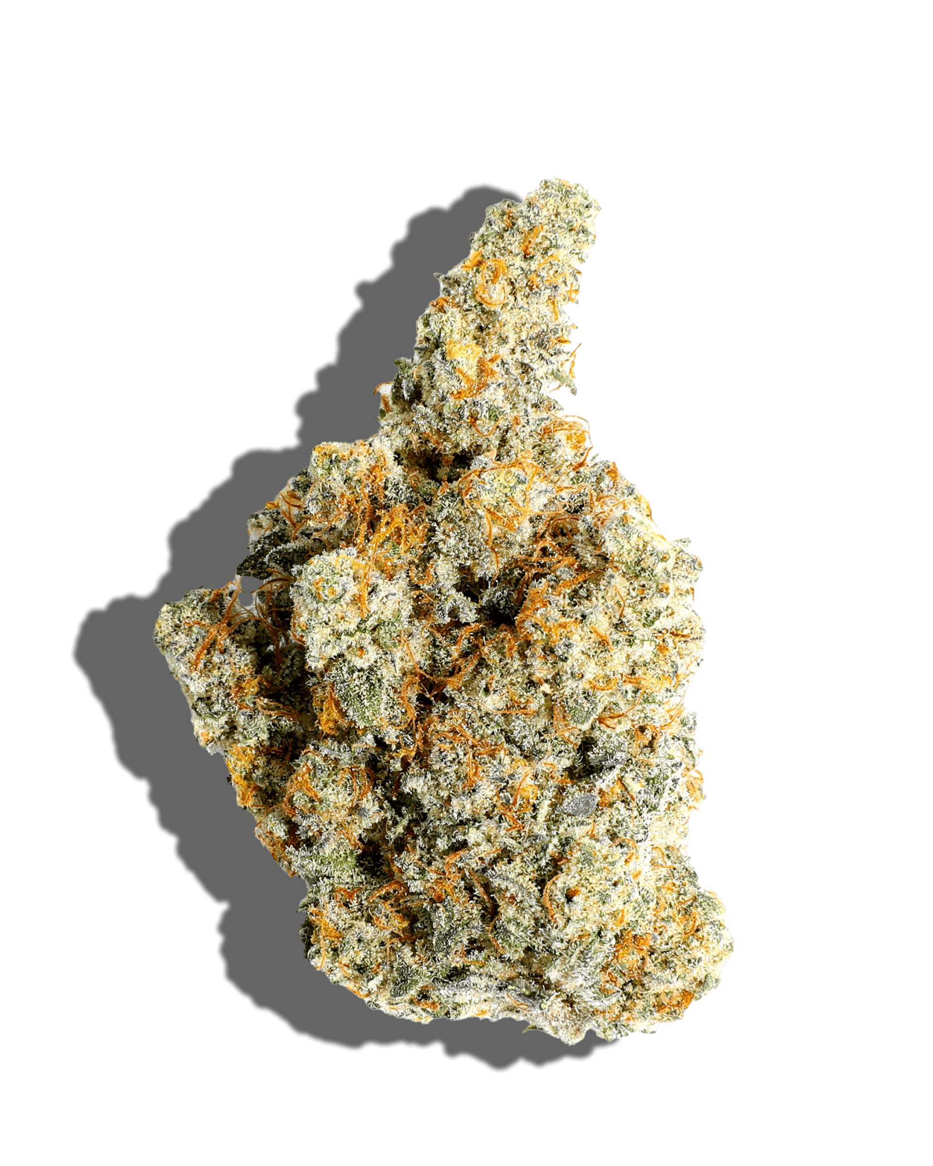 GREAT AUNT'S SECRET 3.5G