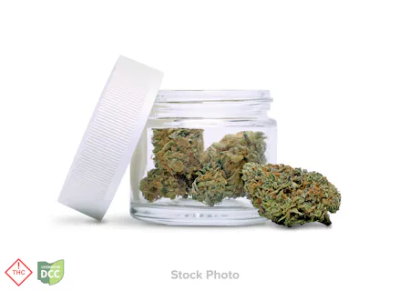 Image of Josh D | Kockeyed -Smalls- | Flower | 14.15g