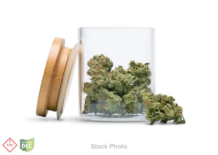Image of Northwoods | Zupa #7 | Flower | 2.83g