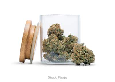 Product: Haven OG | Pre-Packed OZ | Grow Haven