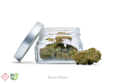 Image of Josh D | Catfish -Smalls- | Flower | 14.15g