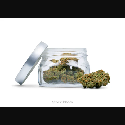 Synergy Blue Dream