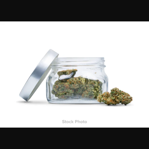 Preferred Gardens Blue Caviar