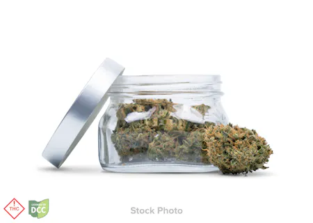 Image of Northwoods | MK #4 | Flower | 2.83g
