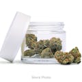 Freddy's Finest: Purple Zkittlez