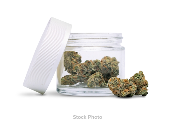 OLD PAL | THE SPICE - READY TO ROLL SATIVA/HYBRID