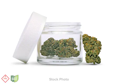 Image of Northwoods | Blueberry Zaza | Flower | 2.83g