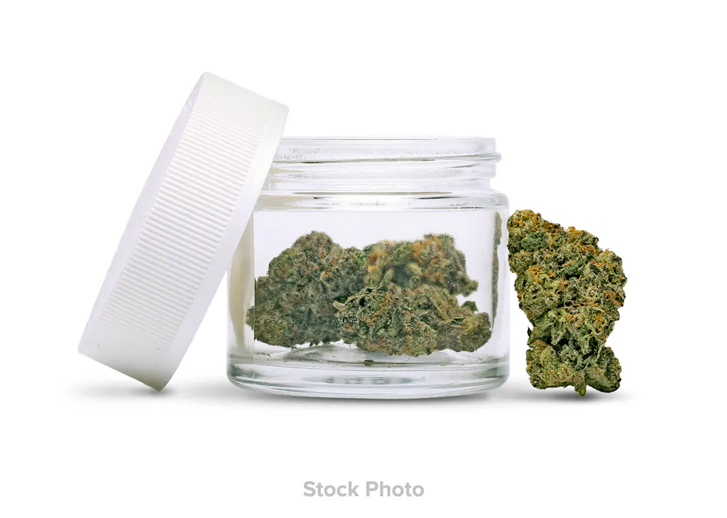 Gotti | Flower | Bomboloni | 3.5g | Hybrid | THC 23% Gotti