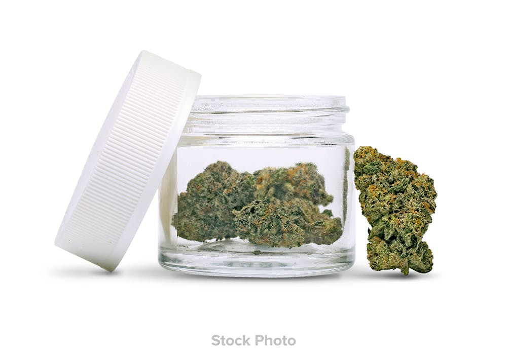 Product Harvest Grind (S/H) - Pre-Ground Flower | Pioneer Plant-tech