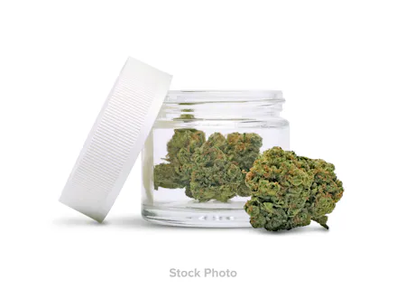 Image of Satsuma Sherbet - $85 14g Bag