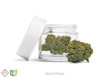 Image of Northwoods | Zupa #7 | Flower | 2.83g
