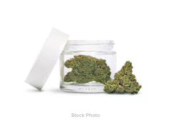 PREFERRED GARDENS | LAZER GUN | 3.5 GRAMS FLOWER