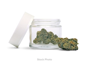 Grown Rogue - 3.5g Prepack - Fumez