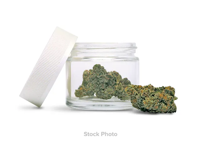 Ithaca Organics Cannabis Co. ITHACA ORGANICS | MODIFIED WATERMELON | 3.5 GRAMS FLOWER