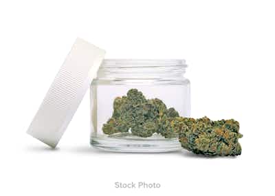 Product: Tree of Life | Shake - 28g - Dirty Kush Breath